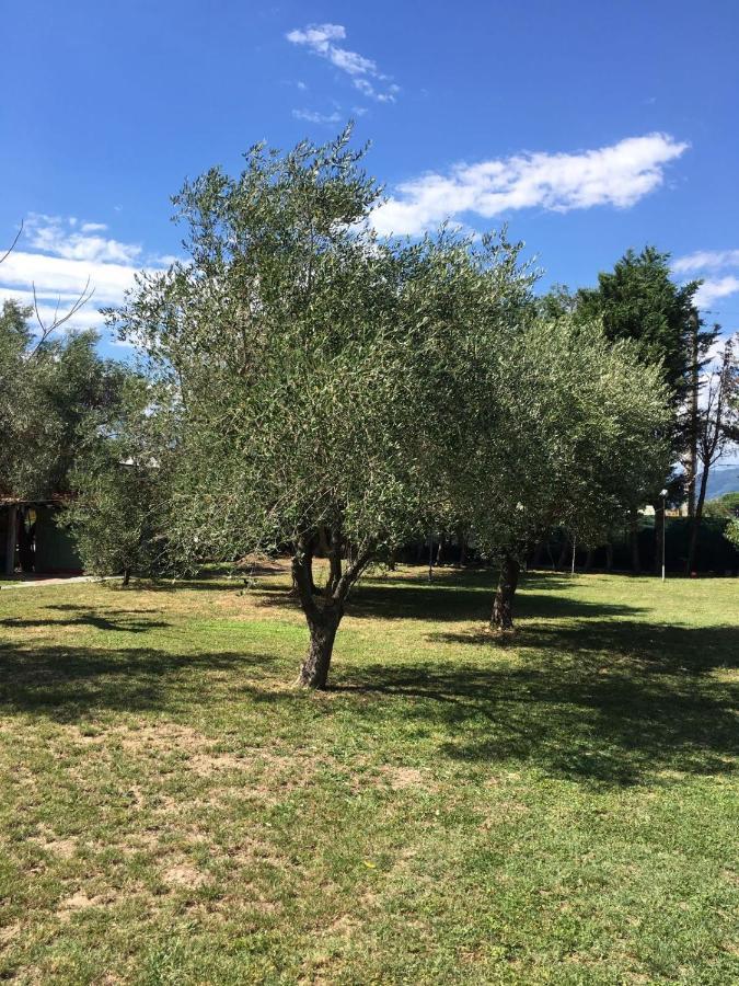 Fragolina Per Due Villa Lucca Buitenkant foto